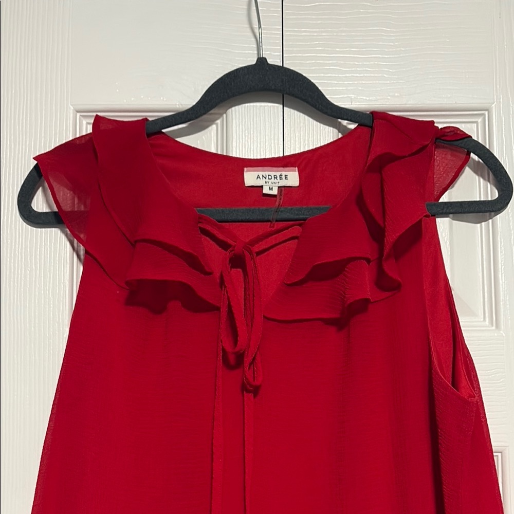 Red Ruffle Mini Dress - Picture 2 of 3